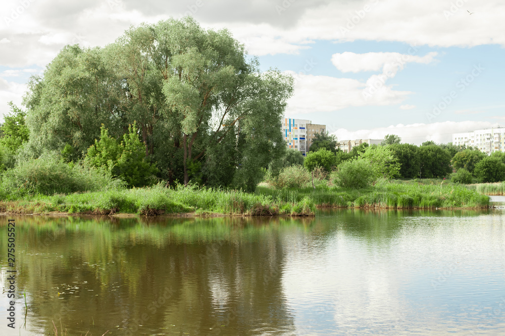 Beautiful landscape of Russia. Big tree by the lake Beautiful landscape of Russia. Big tree by the lake