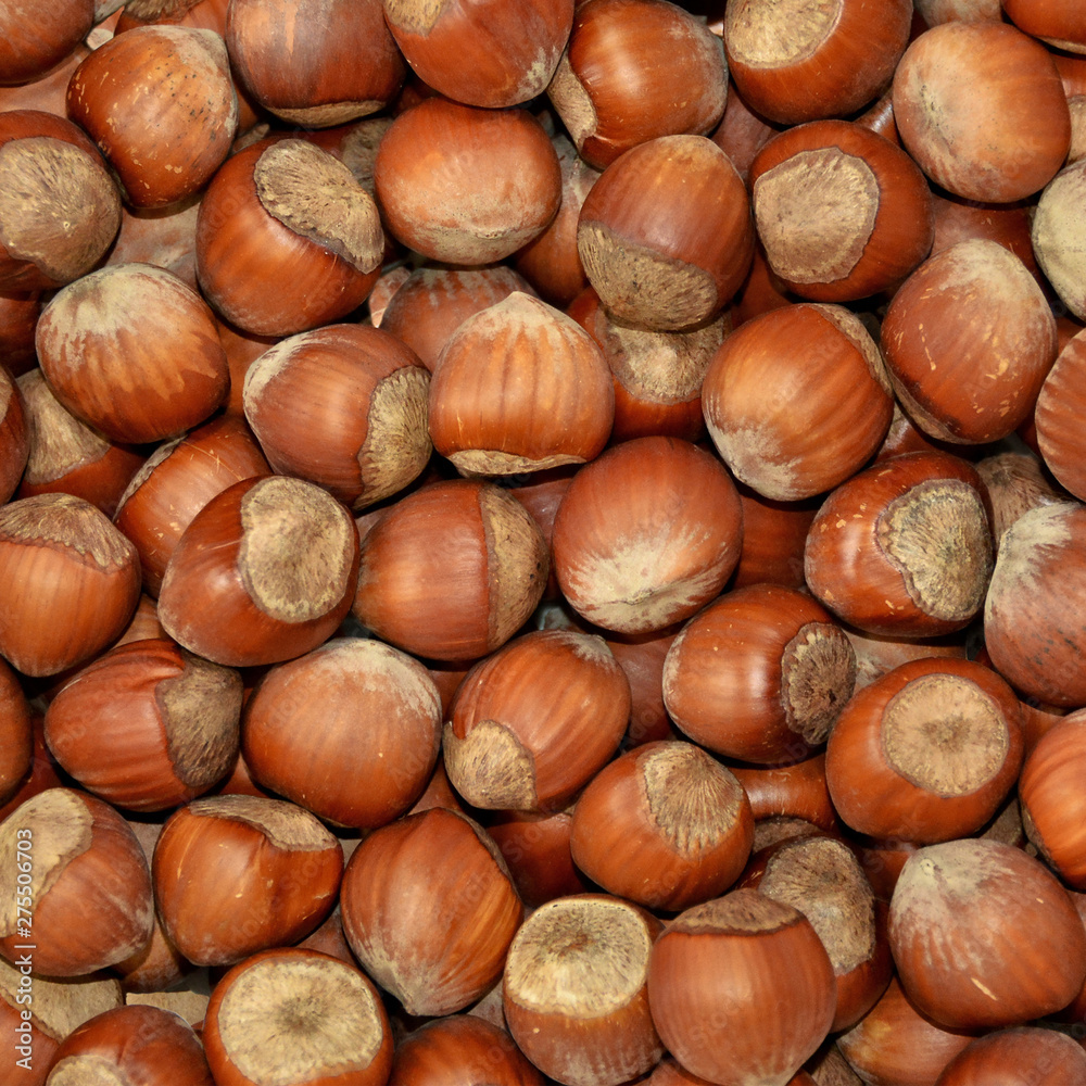 Nuts. Food background. Nice hazelnuts. Organic texture. Top view Nuts. Food background. Nice hazelnuts. Organic texture. Top view