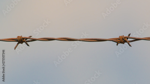 barbed wire on a background