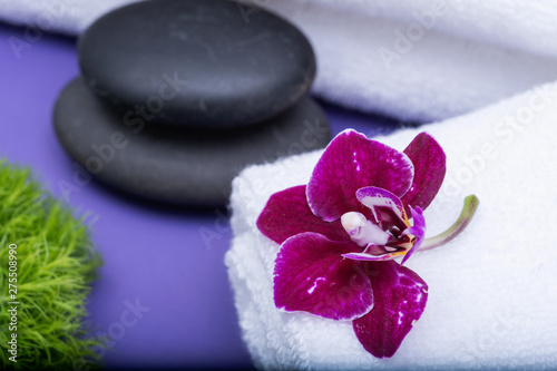 Wellness Relax concept with Spa elements. Rolled up White Towels  Orchid  stacked Basalt Stones  and Dianthus Flowers on purple background.