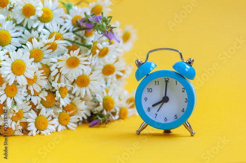 Blue alarm clock on yellow background with bouquet chamomile.