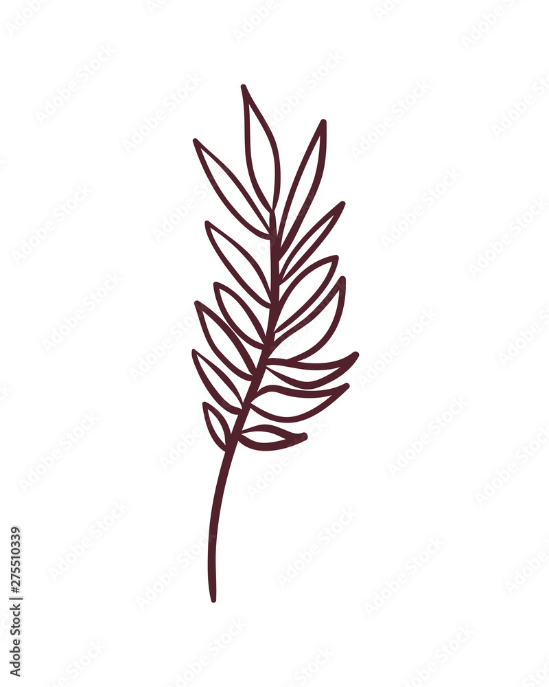 silhouette of branch with leaves on white background