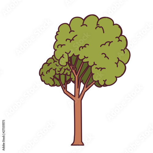 landscape with tall tree isolated icon