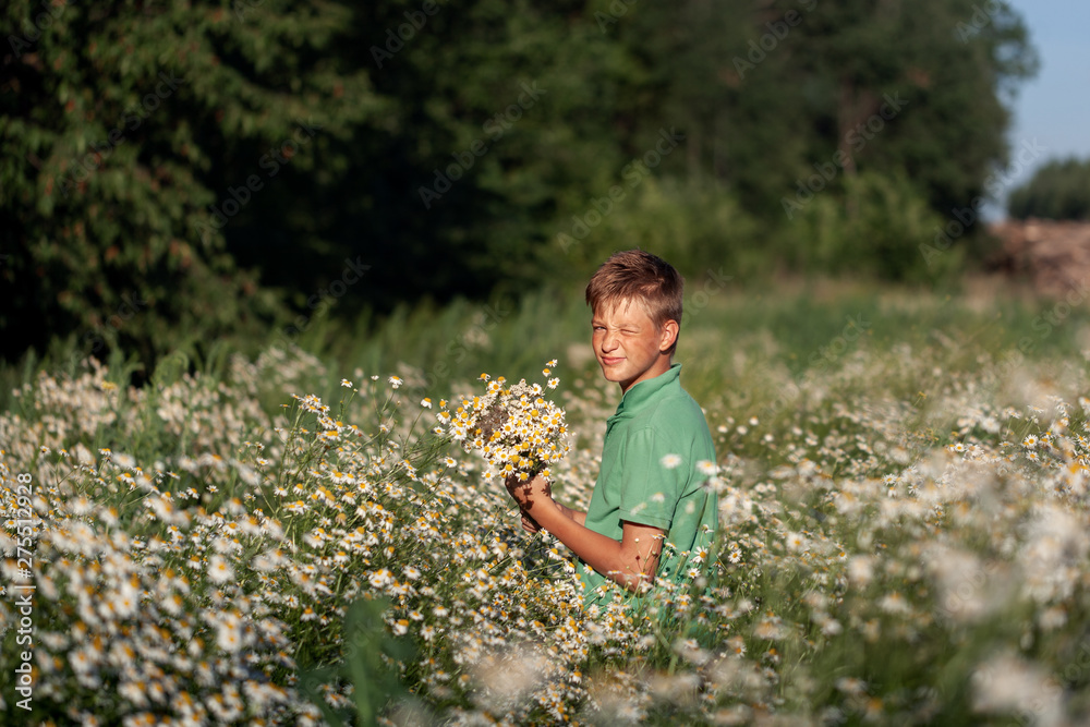 Cute boy holding bouquet of fields camomile flowers in summer day. Back view. Holiday concept. Cute boy holding bouquet of fields camomile flowers in summer day. Back view. Holiday concept.
