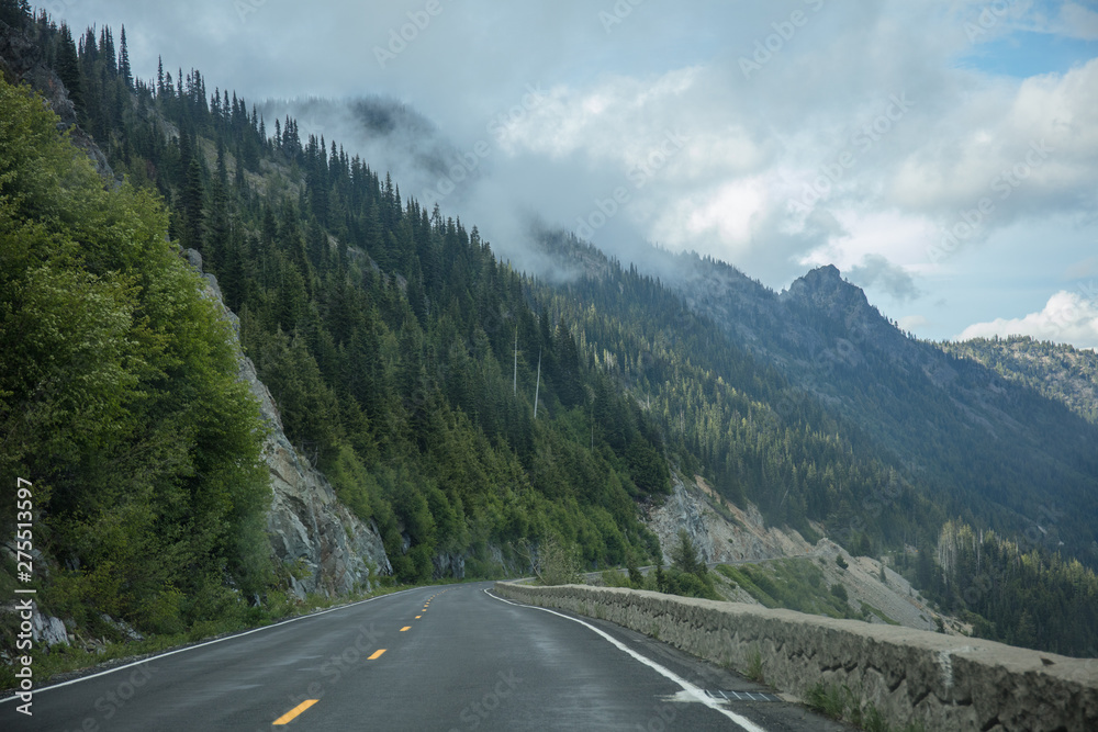 Road in Washington state forest