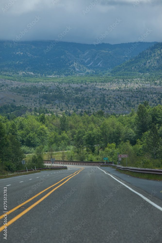 Road in Washington state forest