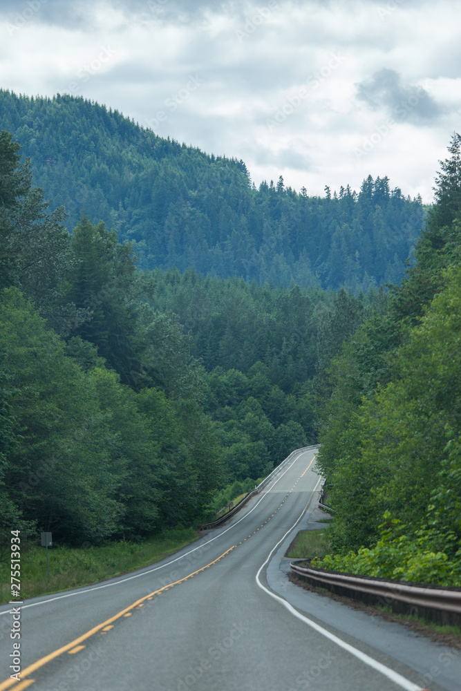 Road in Washington state forest