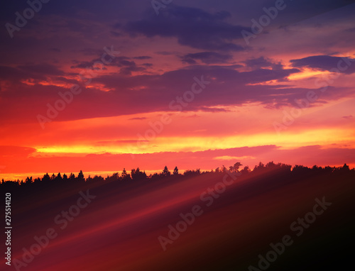 Dramatic light rays over the sunset forest landscape background