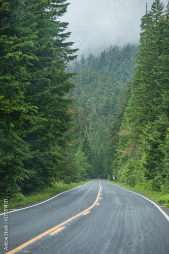 Road in Washington state forest