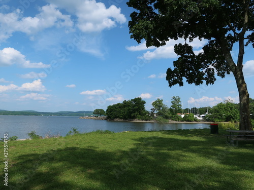 landscape with lake and trees