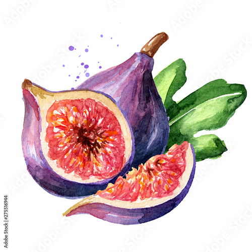 Fresh ripe purple fig fruit and slices with leaf. Watercolor hand drawn illustration, isolated on white background photo