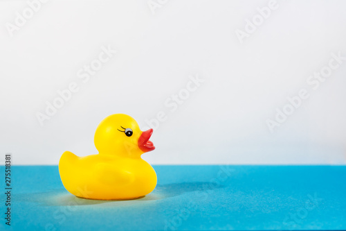 Obraz na plátně Juguete de Patito amarillo de goma en superficie azul y fondo blanco, vista late