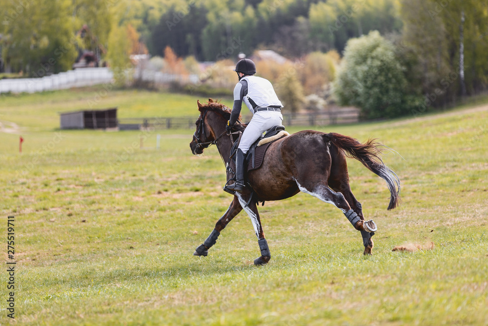horse gallop during eventing competition