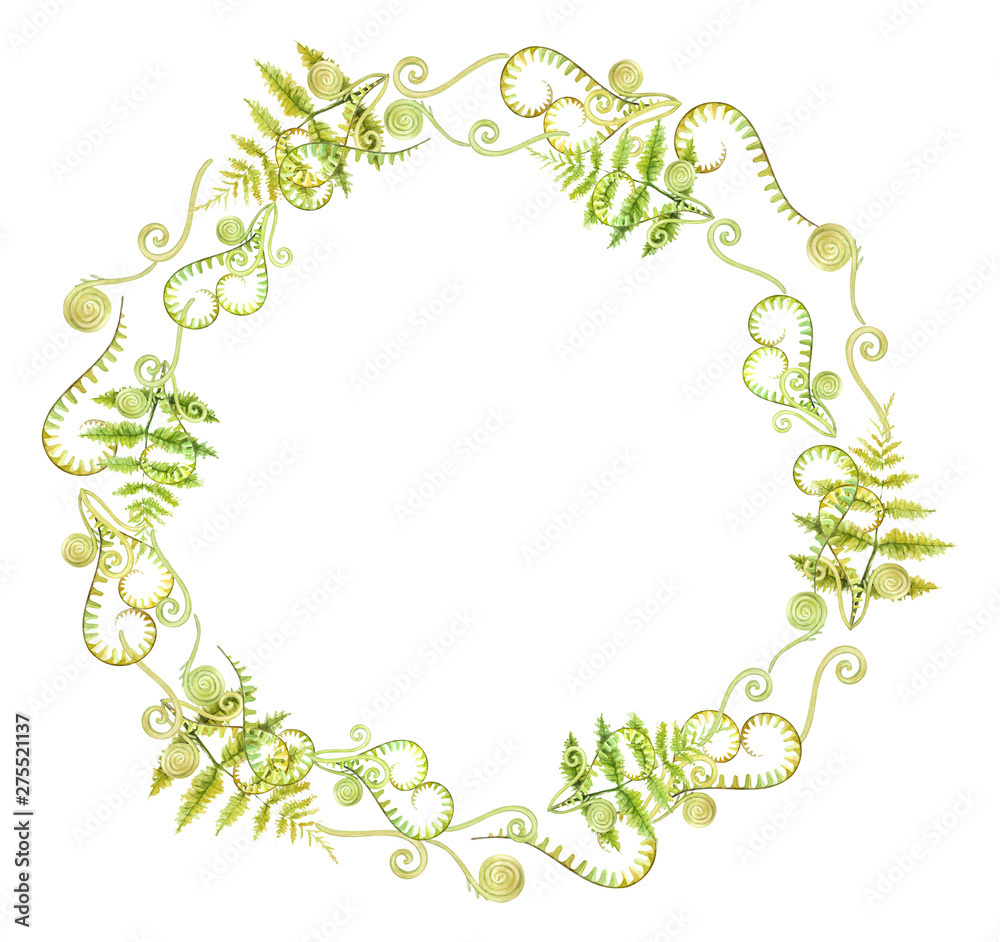Round frame of leaves fern watercolor. Green branches on a white background. Round frame of leaves fern watercolor. Green branches on a white background.