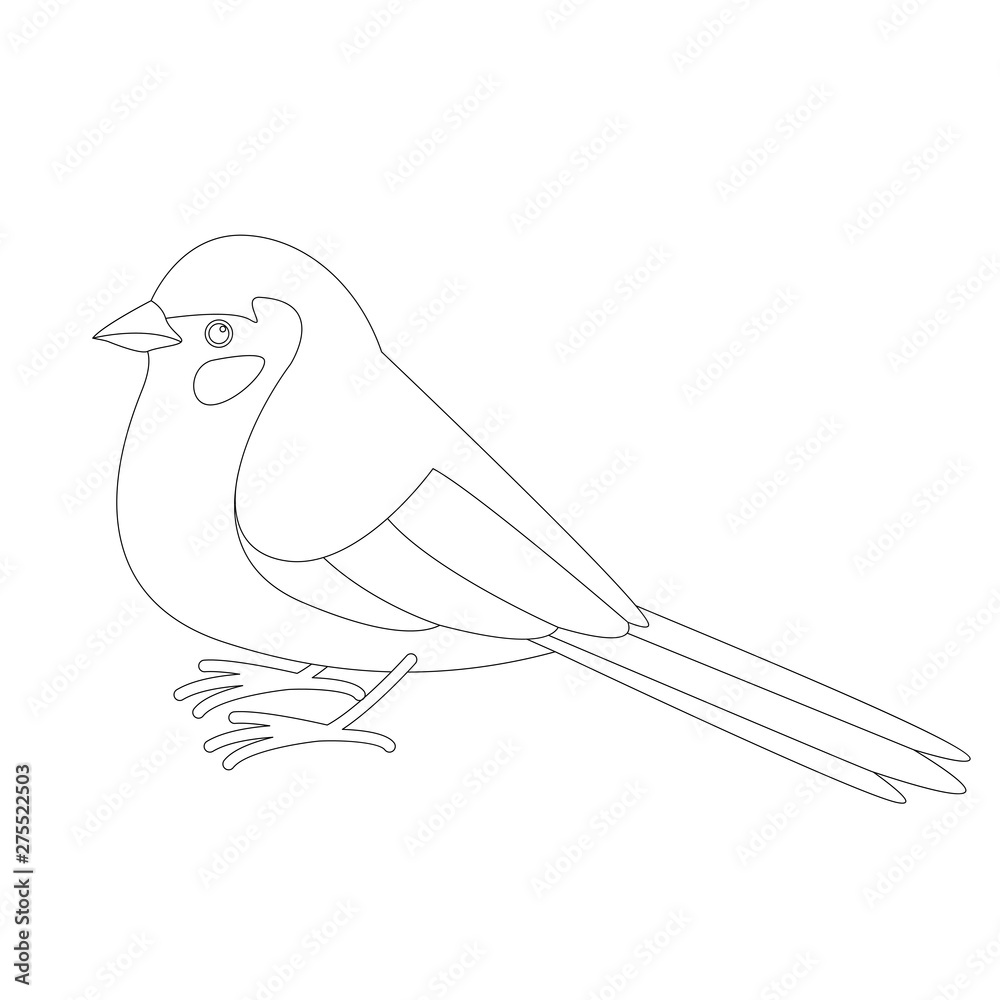 bird red - cheeked cordon,vector illustration, lining bird red - cheeked cordon,vector illustration, lining