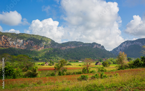 Photography Vinales National Park, UNESCO, Pinar del Rio Province, Cuba.