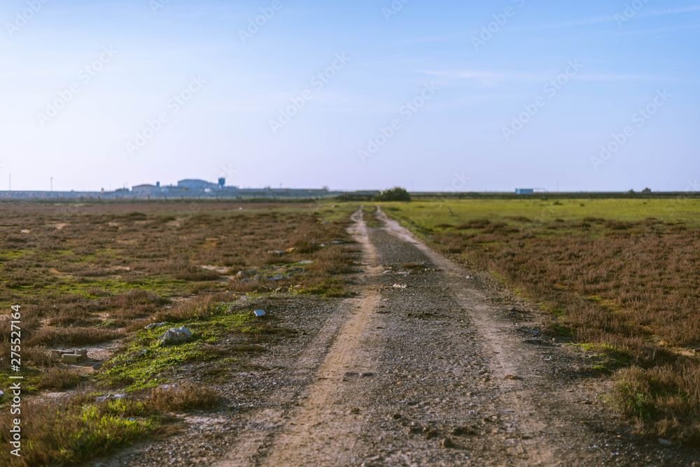 Path to the horizon in the marsh.