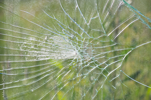 Vandals smashed the glass at a bus stop in the city