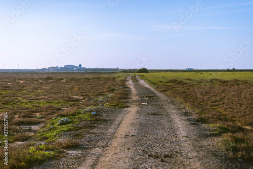 Path to the horizon in the marsh.