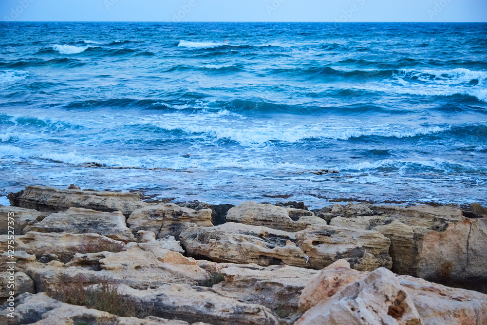 cyprus sea cost cyprus sea cost