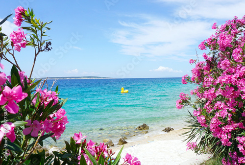 Seascape with clear blue and turquoise sea framed with pink oleander blooming trees and an inflatable duck on the surface