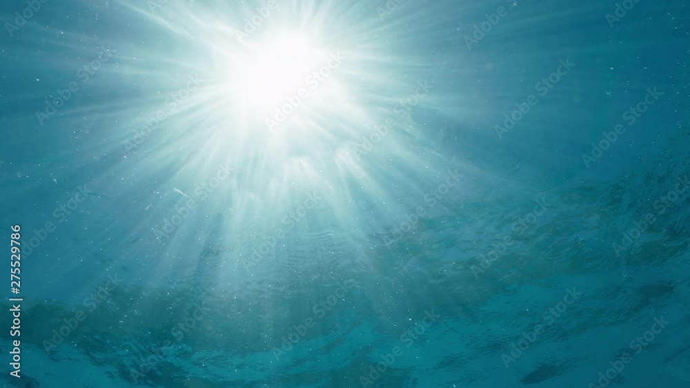 swimming pool underwater view of crystal clear water with bright sunlight shining on surface 4k footage