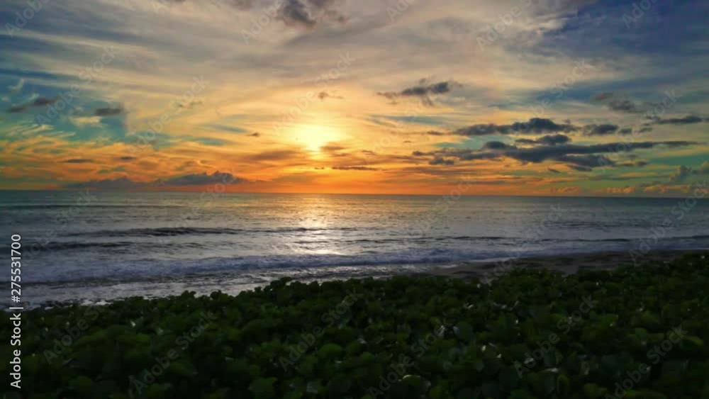 SLOW MOTION Sea waves and beach plants on spectacular sunset in Oahu, Hawaii SLOW MOTION Sea waves and beach plants on spectacular sunset in Oahu, Hawaii