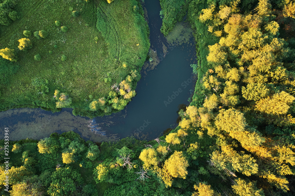 Forest with a winding river at sunset. Aerial photography with a drone. Forest with a winding river at sunset. Aerial photography with a drone.