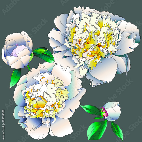 Peony is a well-known and beloved flower with a unique color palette, but white is just amazing!