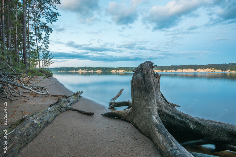 Sandy Bank of the river near a pine forest with a snag at dusk overlooking the other rocky shore.