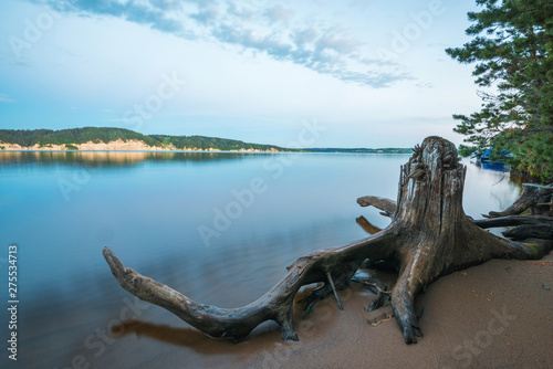 Fototapeta Naklejka Na Ścianę i Meble -  Sandy Bank of the river near a pine forest with a snag at dusk overlooking the other rocky shore.
