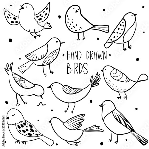 Collection of cute hand drawn birds