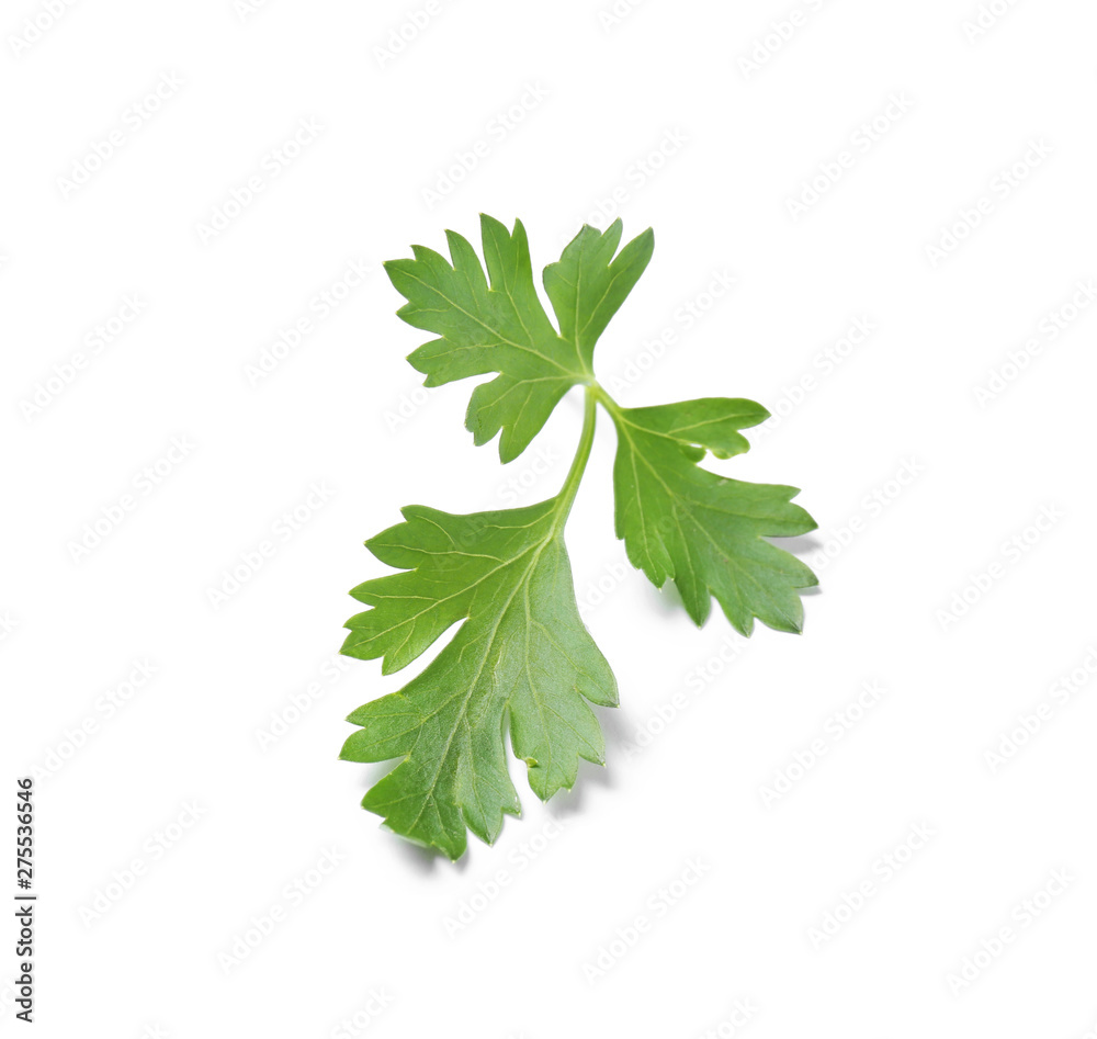 Fresh green organic parsley on white background Fresh green organic parsley on white background