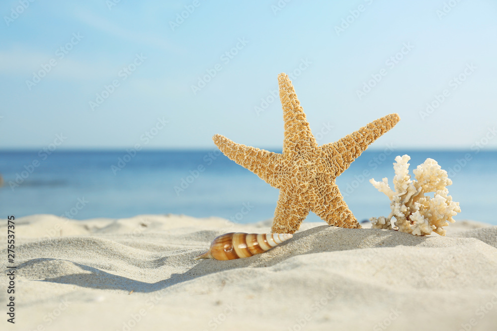 Sandy beach with starfish, shell and coral near sea on sunny summer day. Space for text