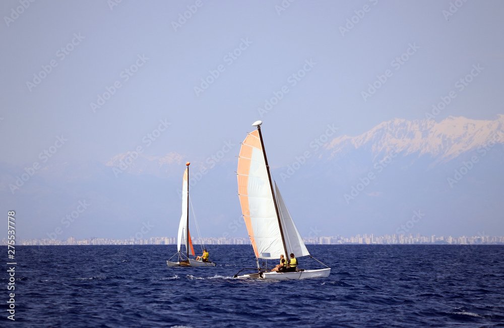 sailing on the sea in summer