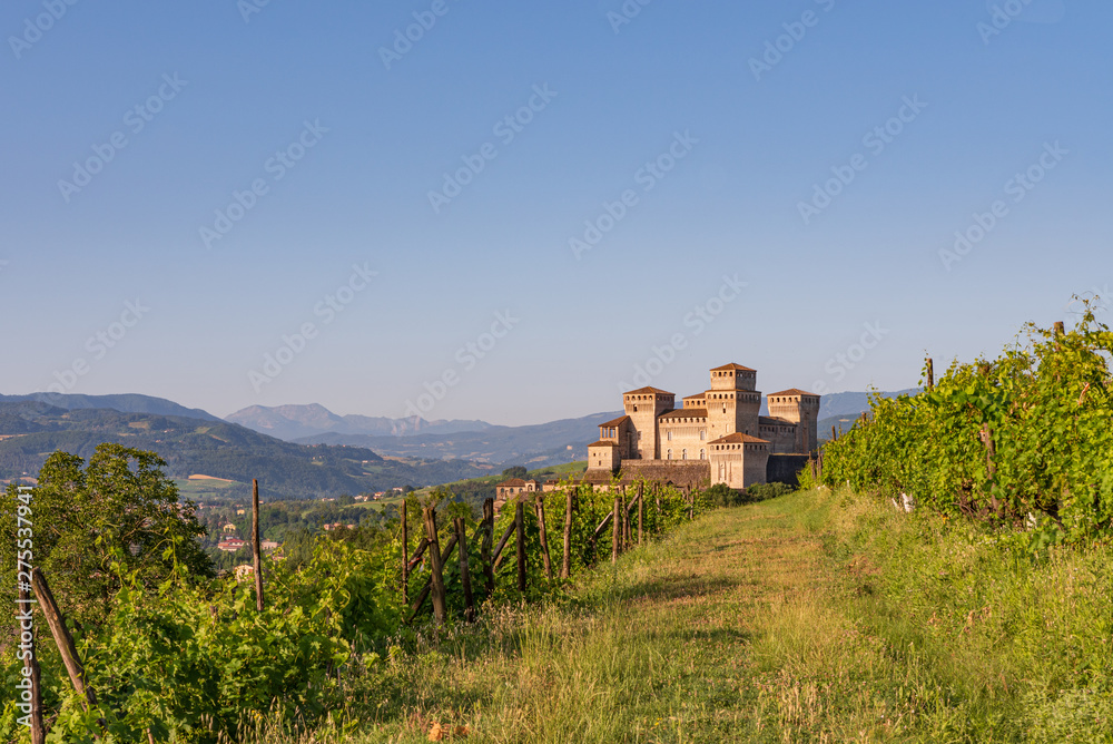 view of a castle from a vineyard on the Italian hills