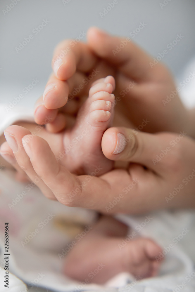New life. Newborn child. Children and pregnancy. Baby and parents. Little leg in the hands of father and mother.