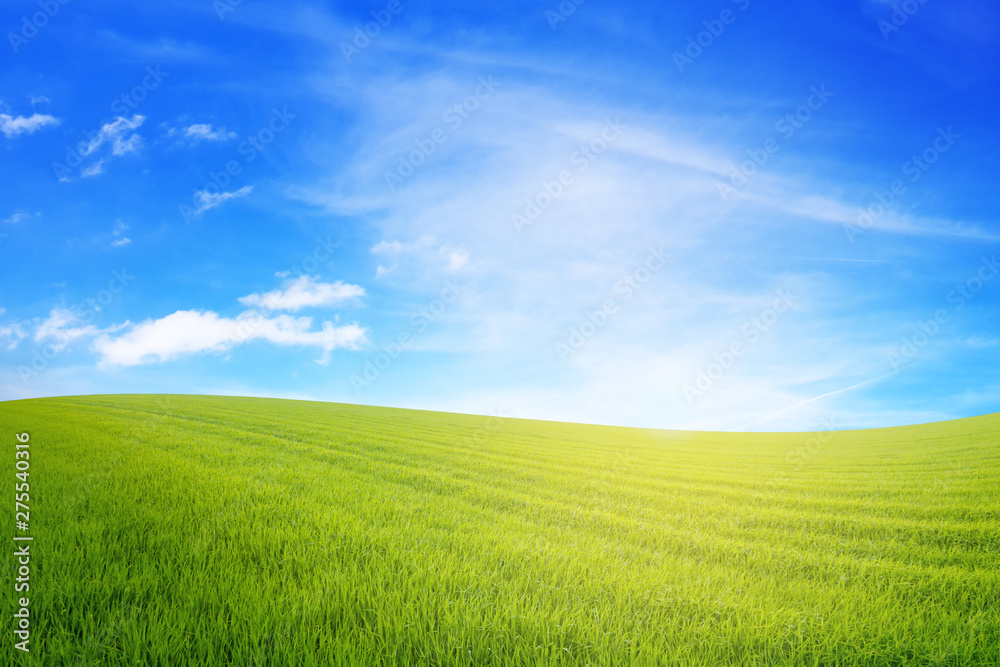 Meadow under blue sky with sun