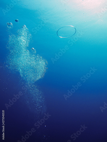 Air bubbles ascending to the surface in salt water photo