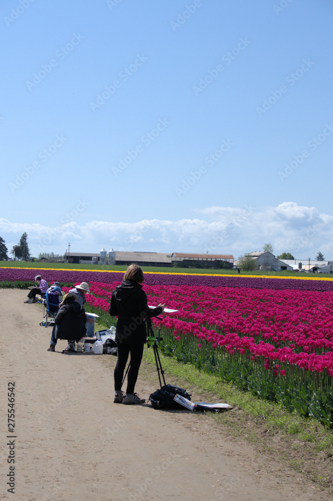 Fototapeta premium painting the tulips
