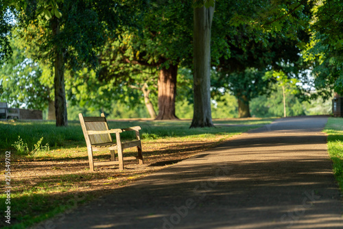 An empty bench in Marble Hill park in Twickenham, West London © Chris