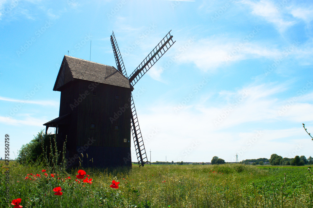 Old wooden windmill with poppies in Poland, Europe