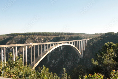 bridge over the river