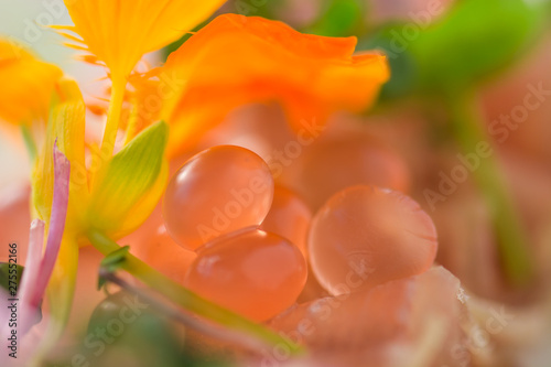 Carpaccio with saffron and caviar