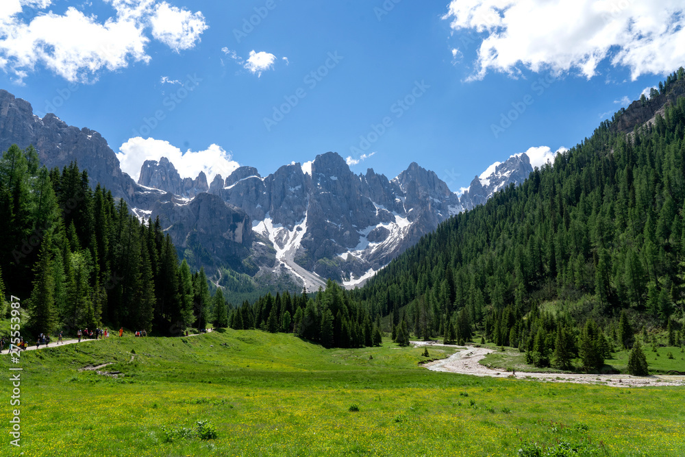 Pale di San Martino range panorama landscape during summer season. Passo Rolle summer landscape - Pale di San Martino range. Trentino Alto Adige. Mountain landscape in summer, Italian Dolomites.