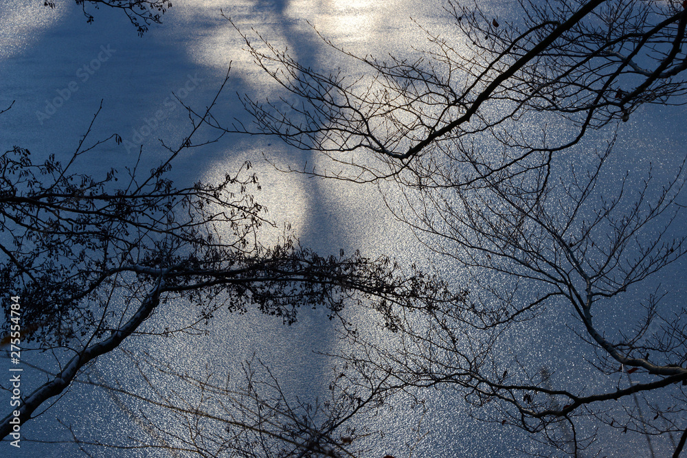 sparcling ice crystals on frozen lake with tree in the foreground