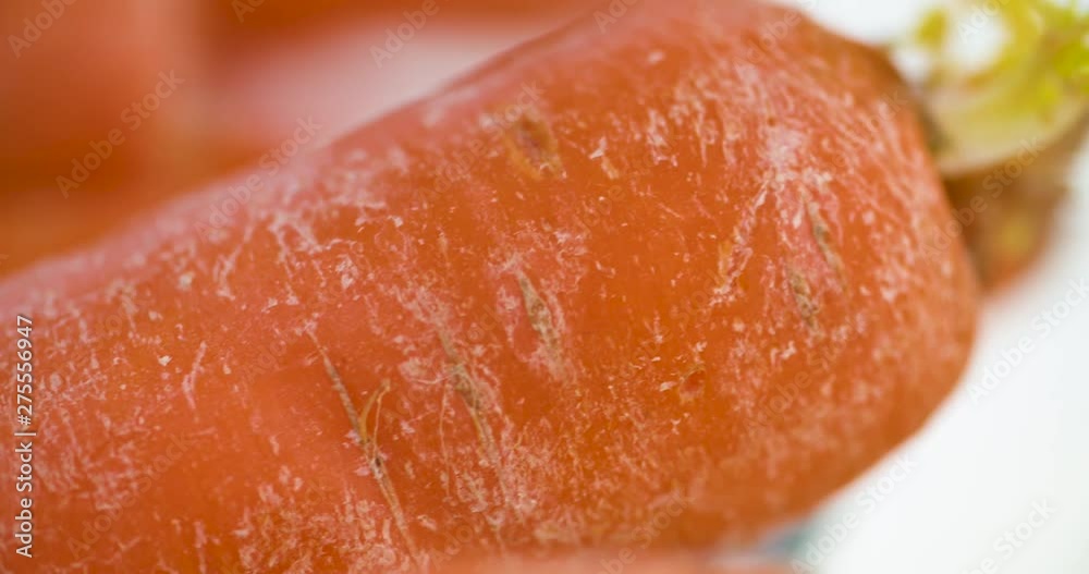 Macro close up pan along a fresh, crunchy, orange carrot Macro close up pan along a fresh, crunchy, orange carrot
