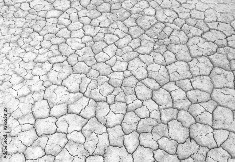 Drought Drought