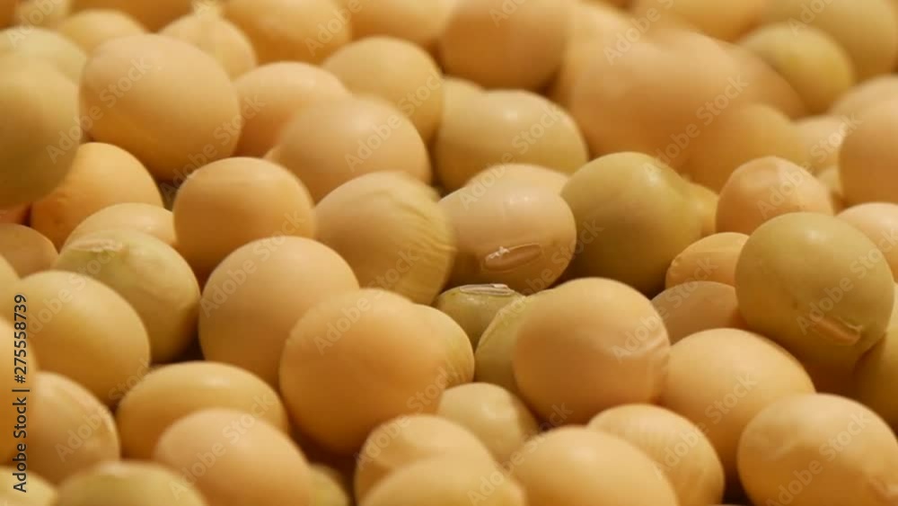 Large mass of soy beans turning 