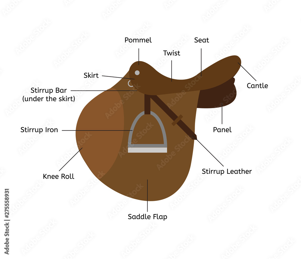 Vector flat cartoon saddle parts names isolated on white background